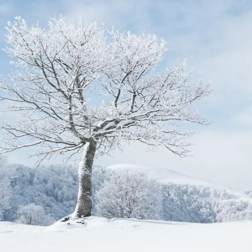 Winterdienst in Emmerich